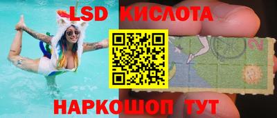 spice Бердск