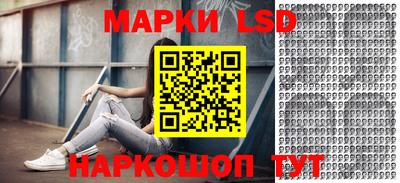 spice Бердск