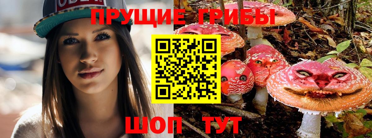 Галлюциногенные грибы Cubensis Богданович